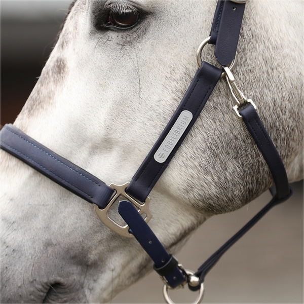 Equilibrium New Stellar Headcollar EQB1681 - Navy